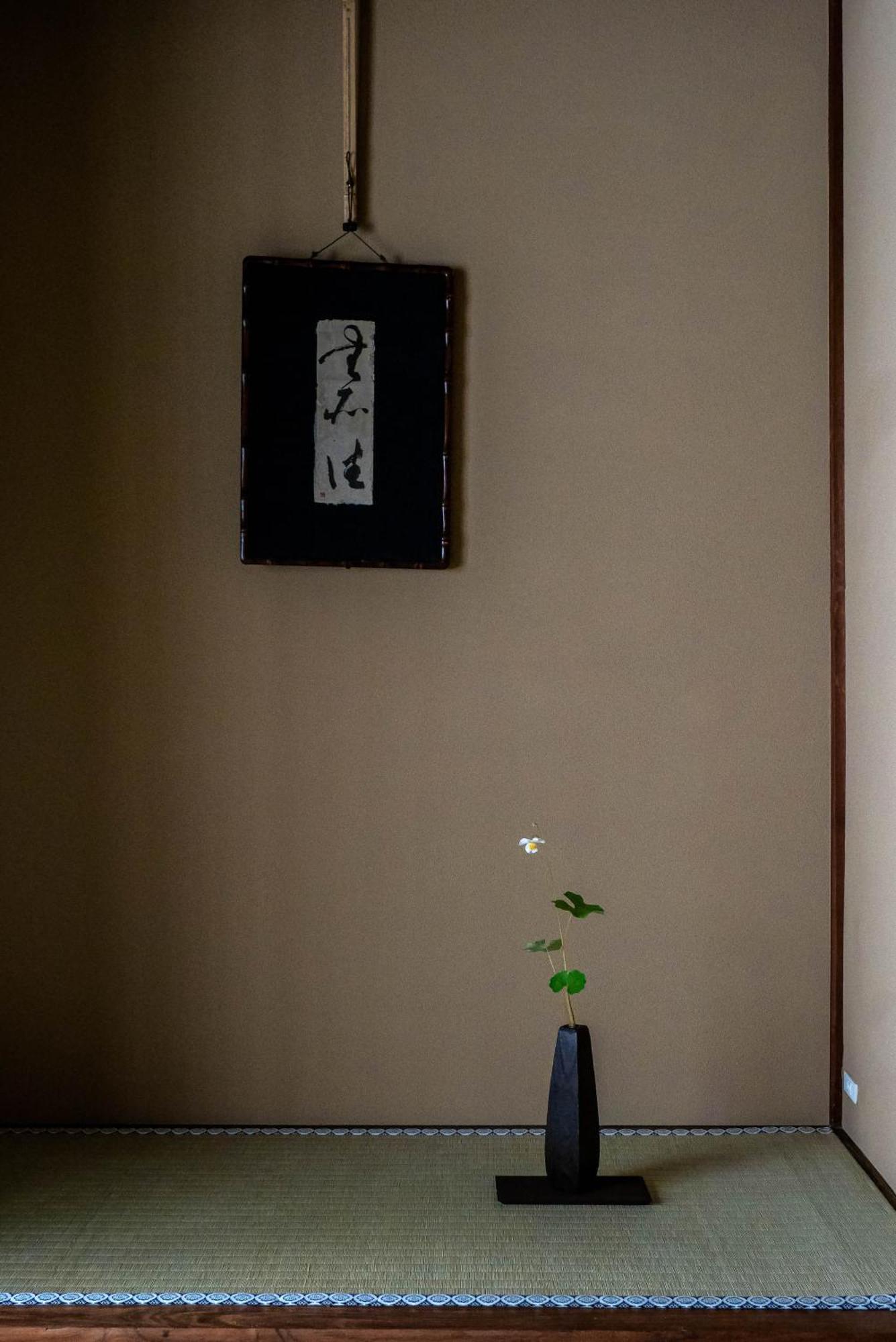 Saik Kanazawa Quarto foto