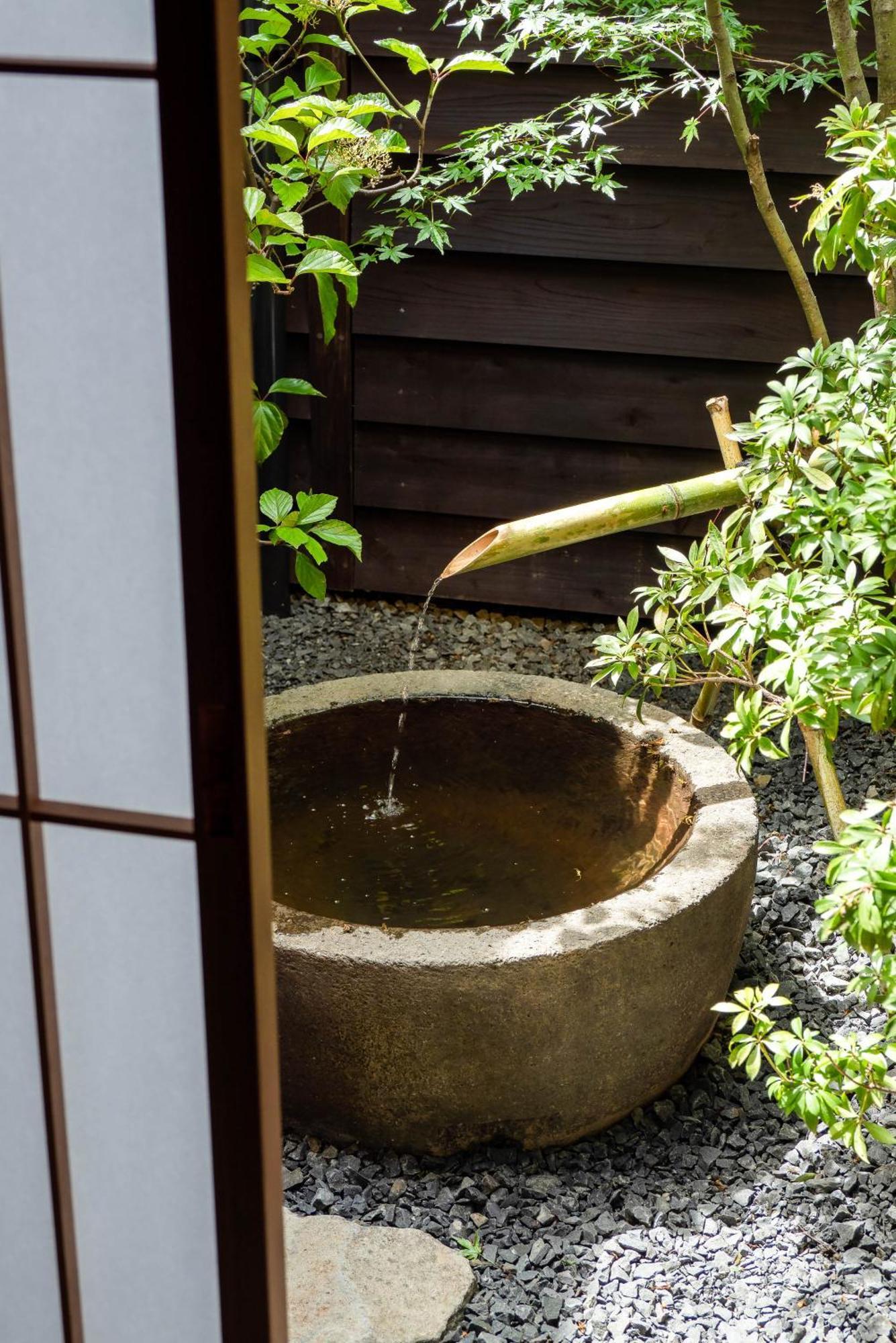 Saik Kanazawa Quarto foto