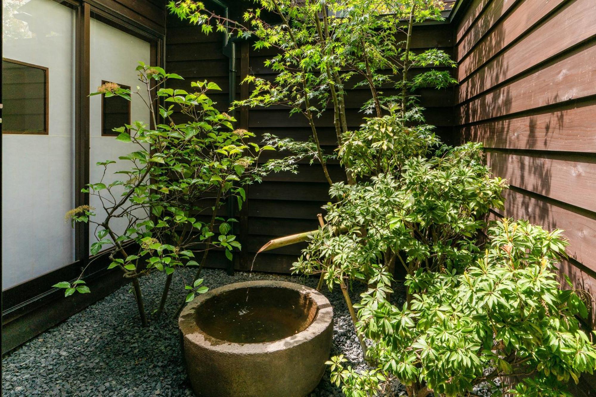 Saik Kanazawa Quarto foto